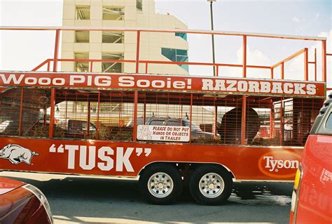 Tusk Arkansas Takes Center Stage: The Mascot's Role in Game Day Festivities